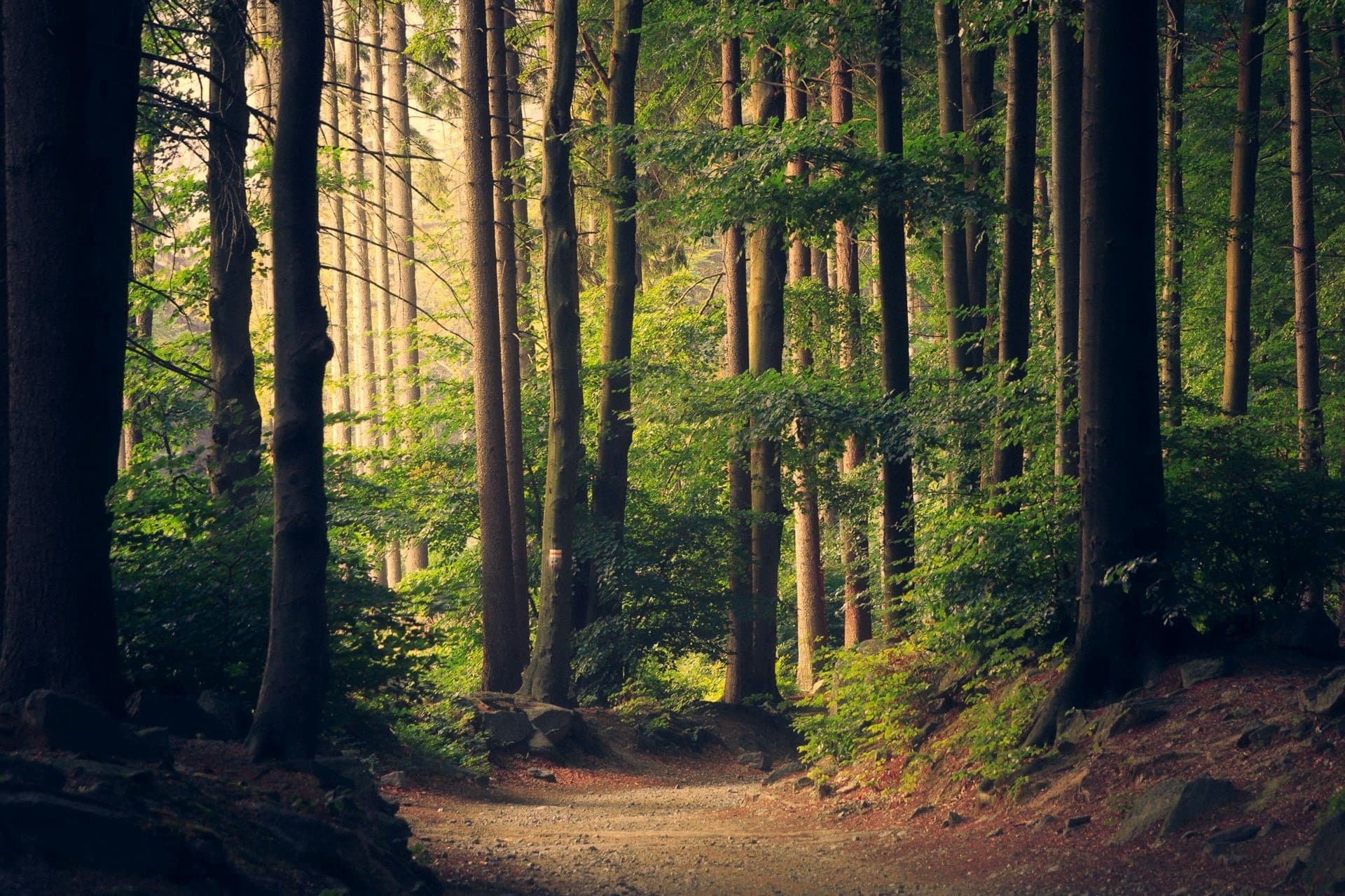 Nature & Outdoor